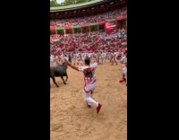 Men run away from bull in arena