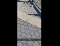 Guy catches fish in NYC 