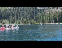 Women in bikini rides the inflatable unicorn and flamingo