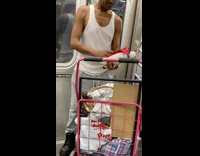 Guy puts red santa hat on bird 