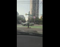 Dog refuses to walk through crosswalk carried 