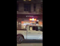 Dog arm rest on pickup truck window