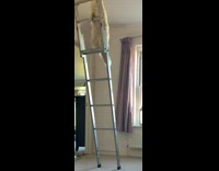Pet kitten climbs up the attic ladder