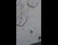 Collab IITW - Lady in Coat Dances while it Snows