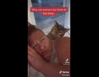 Lady pretends to get hit by cat 