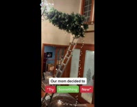 Mom tries to put tree over door