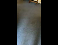 Man laughs once dog enters office building with hat 