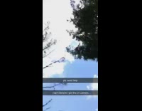 Bug on girl chin lip face