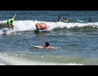 Collab Kook Of The Day - dinosaur on blue surf board