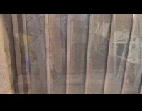 Collab Pets For All - Daily life of gray pitbull named Misty, car ride, dancing with girl, nap time on couch