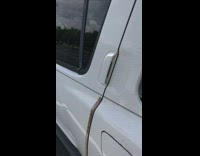 Tiny pony neigh inside the back of the car