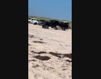 Black truck reverse and got stuck on sand