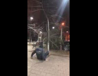 Large man climbs tree and the tree snapped