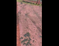 Girl spread white dress red ladder photographer