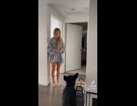 Collab Clips MPUGC - Dog farts while being fed 