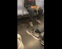 Lizard sits on guys leg on subway 