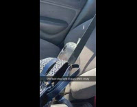 Bag of goldfish seatbelt in passenger seat