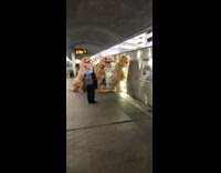 Dinosaurs ride the train 