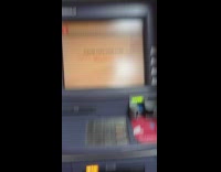 Cat at the bank touches ATM 