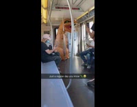 Inflatable dinosaur costume hand pole subway train 