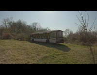 Abandoned bus used as a hive for bees