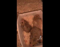 When she wants to give her man one last kiss before she leaves 