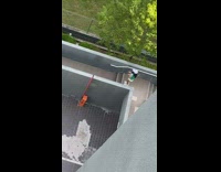 Girl green shirt drop hat between walls