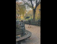 Woman lifts umbrella and leaves fall at the park
