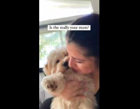 ClipsIG - Lady Excitedly Kiss and Snuggle with White Puppy