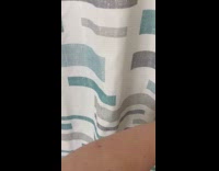 Dog stands at bathtub hides behind curtain