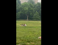 Collab winy - Two people away from group do jumping jacks