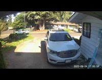 Tree branch fell on the parked car on the curb