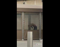 Bath by fire man uses flames on armpit