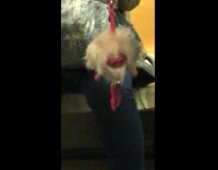 Woman Has Furry Mouth Key Chain on Subway