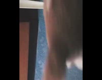 Collab DailyDoseOfInternet - Cat gets hit with hair tie fail 