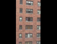 Guy cleans window from high height 