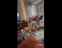 Mcdonalds hologram hand goes through 