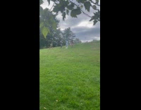 Submitter shows group wear costume at park