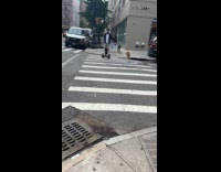 Collab WINY - Man on self-balance scooter walks his dog