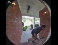 Man grabs baby deer bleating outside house