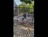 People play in closed racquetball court park