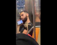 Lizard on shoulder of man inside train