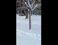 Guy goes fishing in the NYC winter 