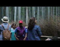 Couple photo shoot tourist walk by