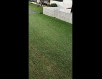 Wind causes ripples in the grass fence 