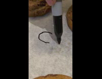 Writing I love cookies wrong on sheet 