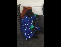 Black dog blue bathrobe watches minions television 