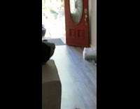 Guy on scooter jumps hits head doorway 