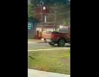 Woman bend over near bushes for photo