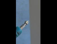 Small bug spins on the tip of the drill